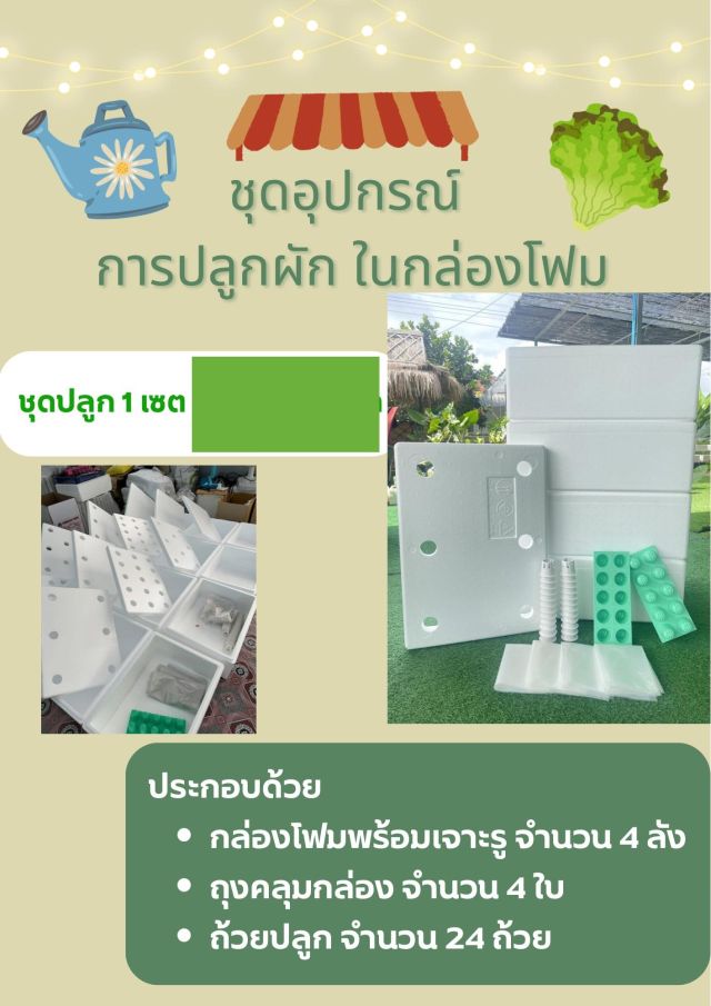 ชุดปลูกผักกล่องโฟม