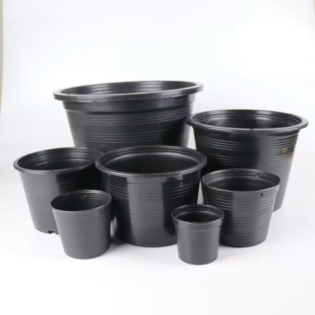 กระถางพลาสติกคละไซร์