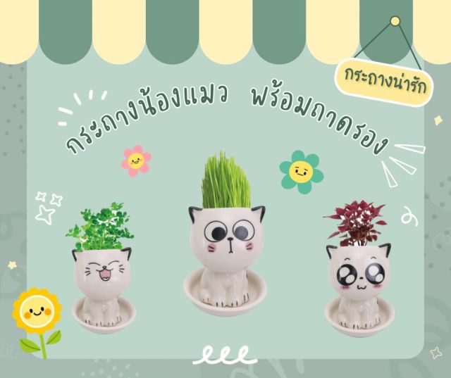 กระถางน้องแมว