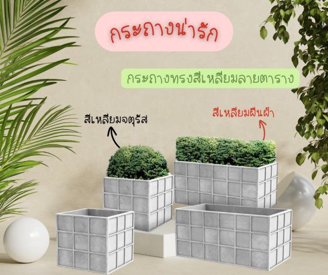 กระถางปูน คอนกรีต
