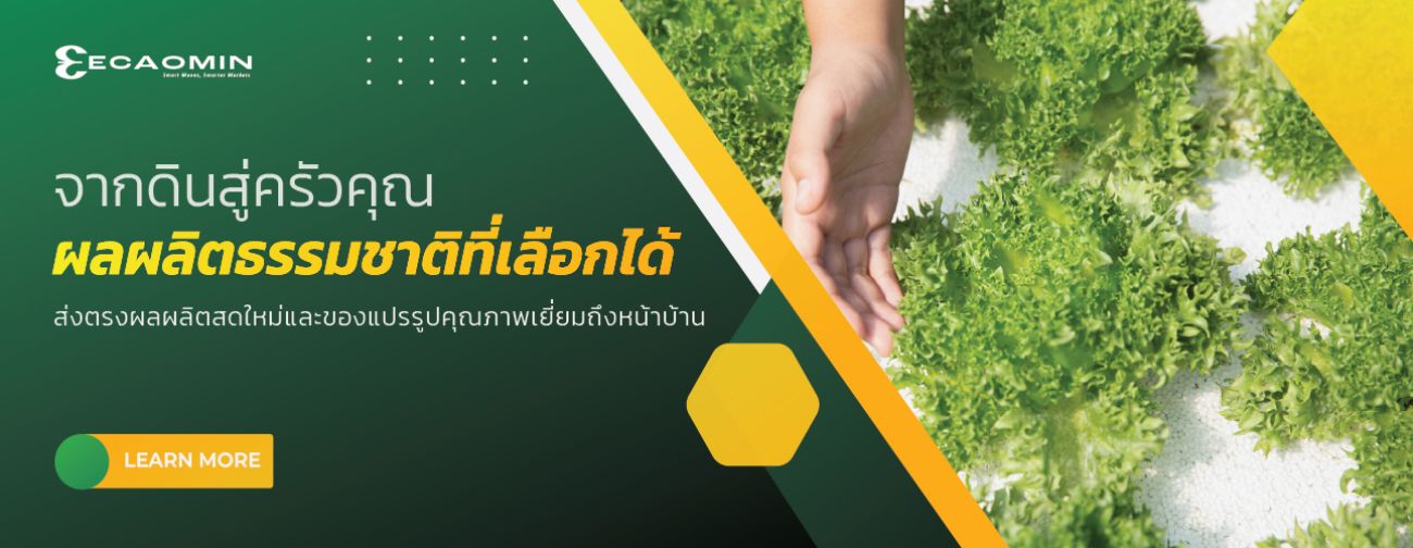 Offer Slider